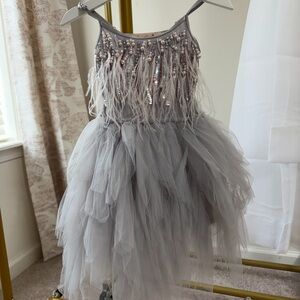 Tutu Du Monde Gray Feathered Dance Dress
